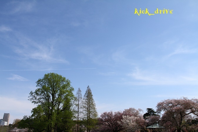 IMG_0036.jpg