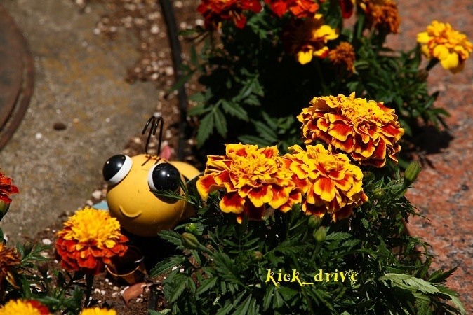 IMG_0072.jpg